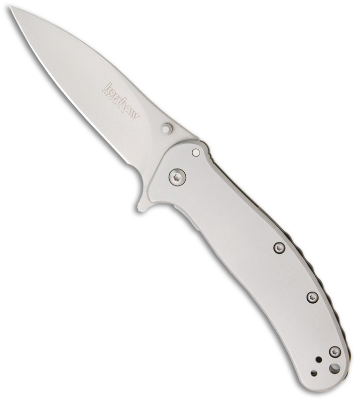 Stainless Steel Kershaw Zing